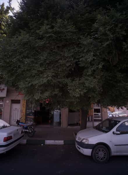 عکس نانوایی در آبکوه مشهد