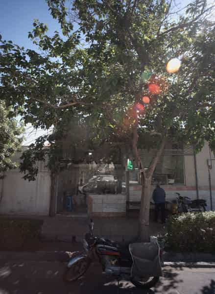 عکس نانوایی در فاطمیه مشهد