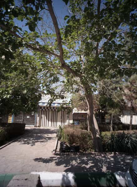 عکس نانوایی در فاطمیه مشهد