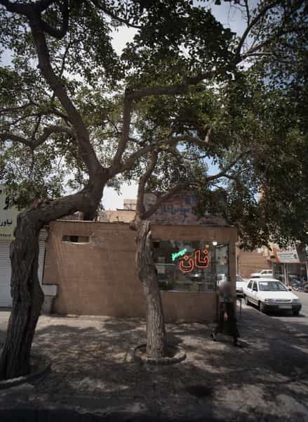 عکس نان نمونه فری در سمرقند مشهد