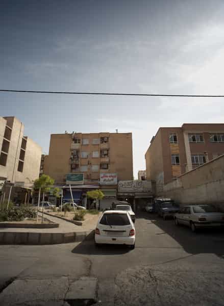 عکس گل گندم در جوادیه تهرانپارس تهران