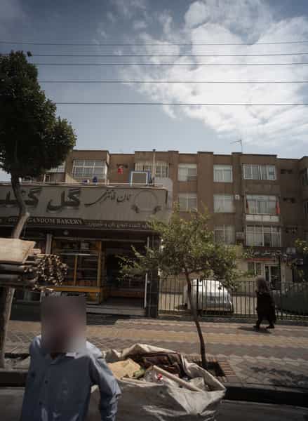 عکس گل گندم در دولت آباد تهران