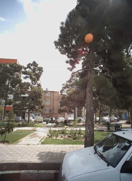 عکس نان سنگکی در نعمت آباد تهران