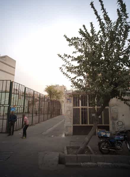 عکس نان سنگک سنتی در شاهد 