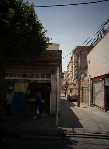 عکس نانوایی گل گندم در خزانه 