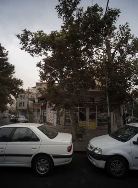 عکس نانوایی بربری در دریان نو تهران