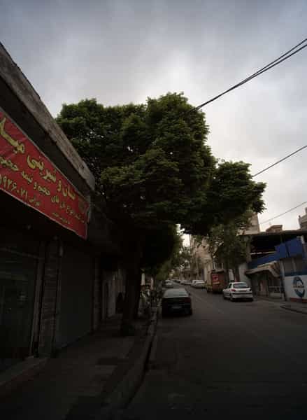 عکس نان و شیرینی میلاد در جوادیه تهرانپارس 