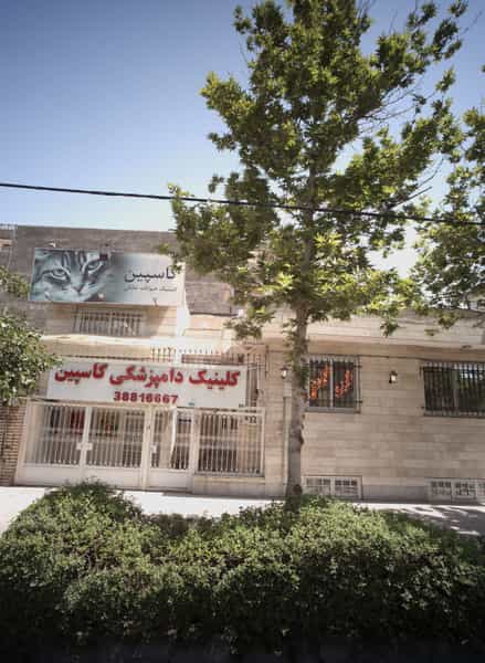 عکس کلینیک دامپزشکی کاسپین در کوثر مشهد