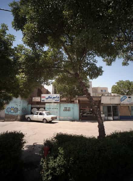 عکس کلینیک دامپزشکی شفا رشد در آیت الله عبادی مشهد