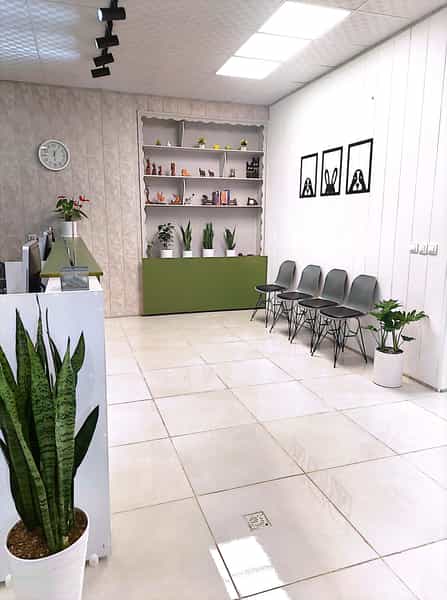 عکس درمانگاه دامپزشکی فراز در معالی آباد شیراز
