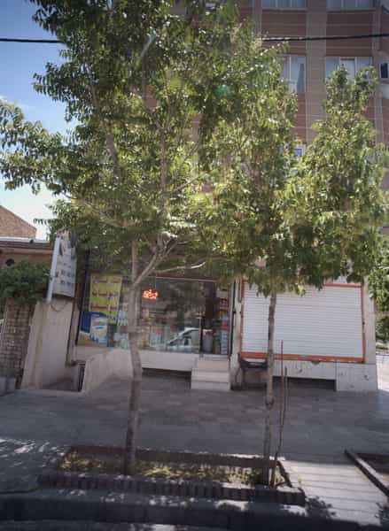 عکس باشگاه بدنسازی در امامیه مشهد