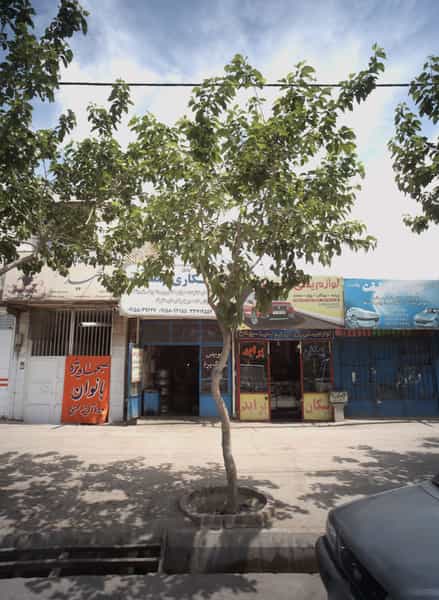 عکس باشگاه بدنسازی و پاورلیفتینگ مجید در اروند مشهد