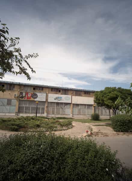 عکس پخش برنج دل در کارمندان دوم مشهد