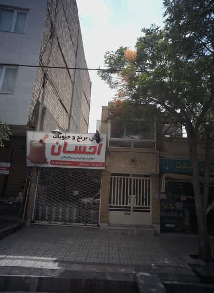 عکس پخش برنج و حبوبات احسان در سرافرازان مشهد
