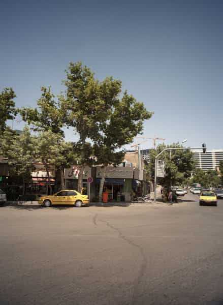 عکس برنج توکلی در جنت مشهد