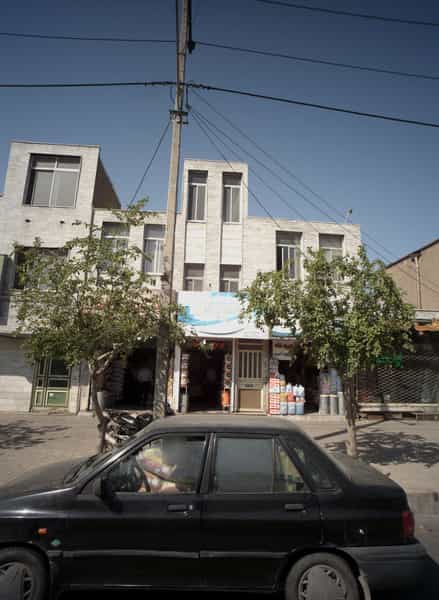 عکس برنج قائم در شیرودی مشهد