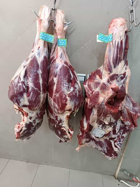 عکس سوپر گوشت حسین در شاهین ویلا کرج
