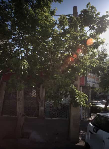 عکس سوپر گوشت نمونه در خرمشهر مشهد