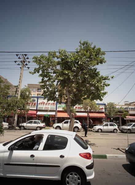 عکس سوپر پروتئینی در رضاشهر مشهد