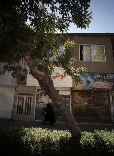 عکس فروشگاه پروتئینی پرند 313 در کوشش مشهد