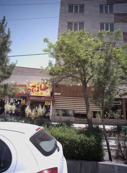 عکس سوپر پروتئینی قارچ در شاهد مشهد