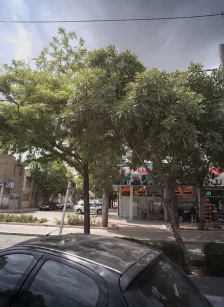 عکس قصابی در شیرودی مشهد