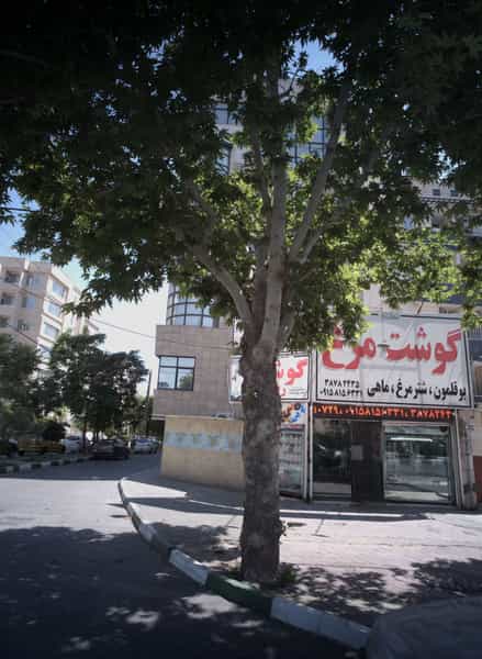 عکس فروشگاه گوشت و مرغ در رضاشهر مشهد
