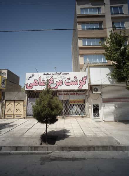 عکس سوپر گوشت سعید در تربیت مشهد