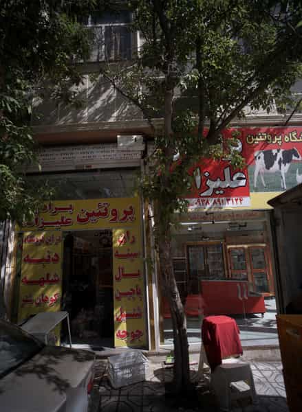 عکس فروشگاه پروتئینی برادران علیزاده شهرک بهارستان مشهد