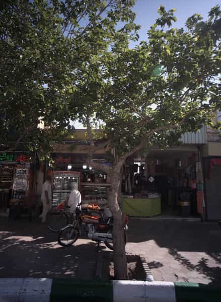 عکس سوپر گوشت ارسلان در شهید هاشمی نژاد مشهد