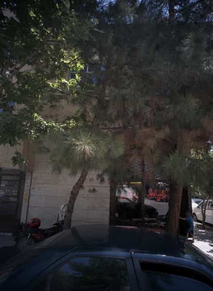 عکس خیاط پوشن در گوهرشاد مشهد