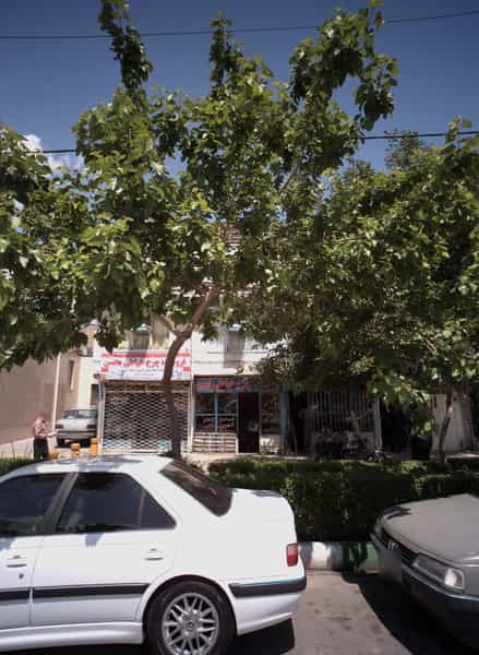 عکس فروشگاه چرخ خیاطی محسن در رسالت مشهد