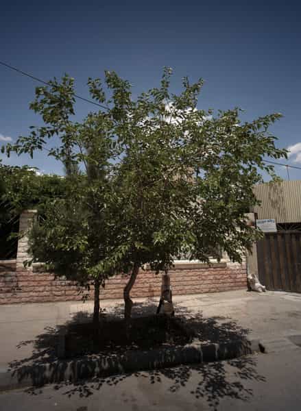 عکس زنانه دوزی نگین در خواجه ربیع مشهد
