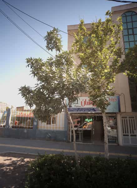 عکس خیاط شیک پوشان در هفت تیر مشهد