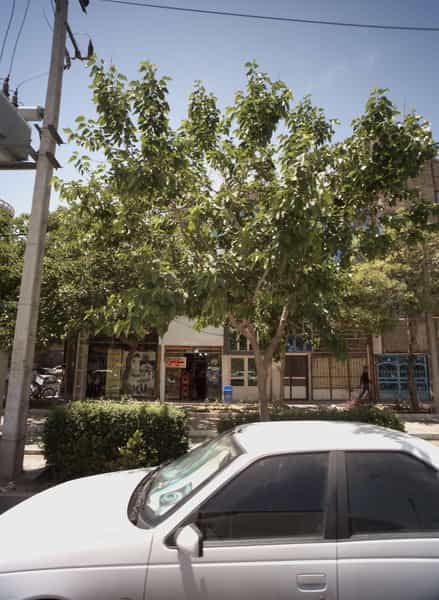 عکس آتلیه عکس شهرک بهارستان مشهد
