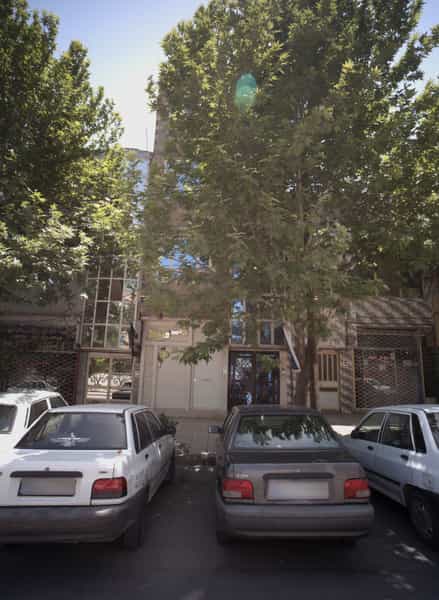 عکس زنانه دوزی یاس سپید در انقلاب 