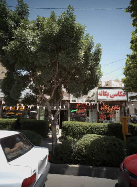 عکس عکاسی یگانه در عامل مشهد