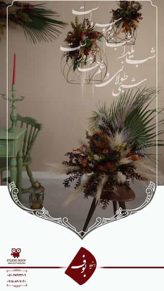 عکس استودیو عکاسی و تصویربرداری بوف در شریف مشهد