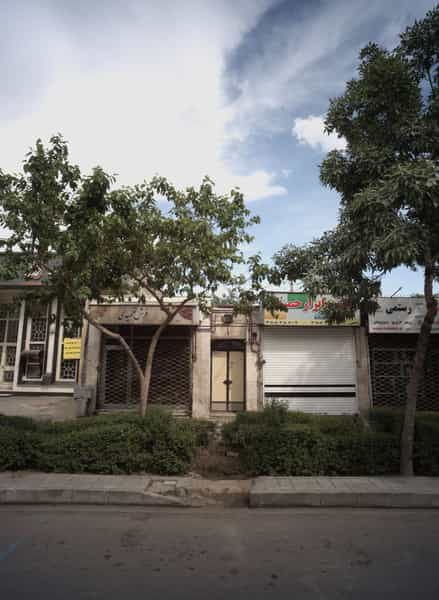 عکس فرش حمیدی در ده دی مشهد