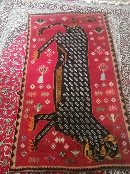 عکس فرش و گلیم فروشی در گود عربان شیراز