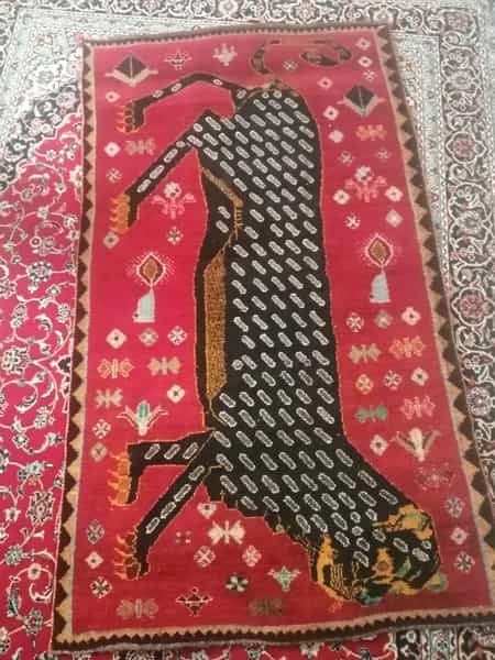 عکس فرش و گلیم فروشی در گود عربان شیراز