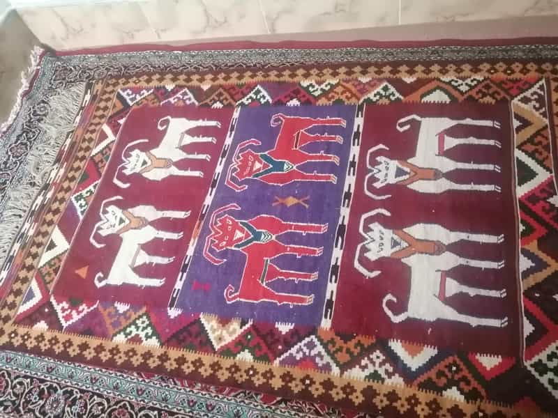 عکس فرش و گلیم فروشی در گود عربان شیراز