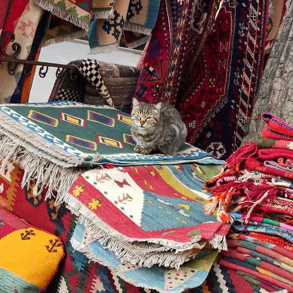 عکس فرش آنتیک در گود عربان شیراز