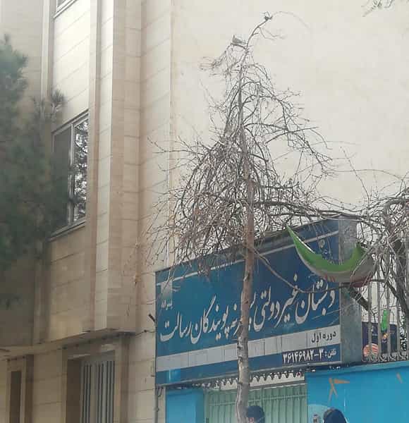 عکس دبستان غیردولتی پسرانه پویندگان رسالت_دوره اول در سجاد شهر مشهد