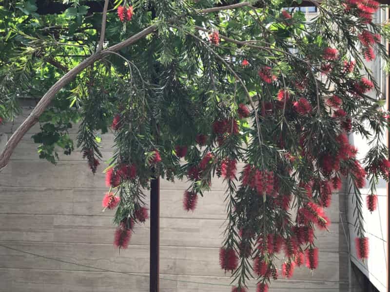 عکس آکادمی زبان يوتاک - آموزشگاه زبان در سرو آزاد تهران