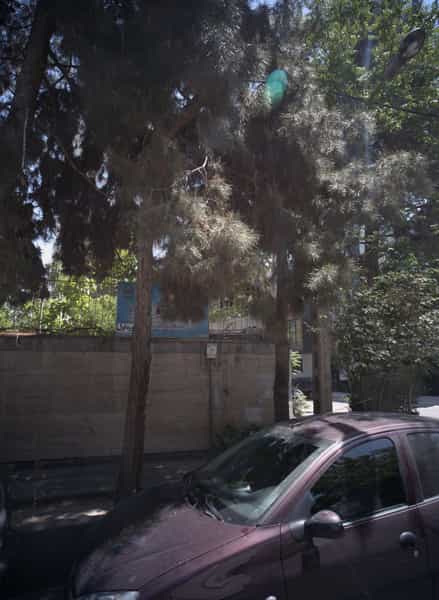 عکس دبستان مهر امام رضا در احمدآباد مشهد