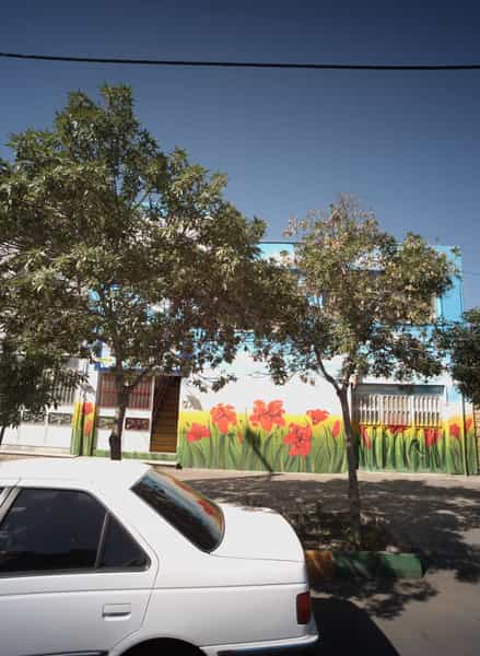 عکس پیش دبستان و دبستان گلستان علم در آب و برق مشهد