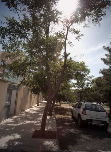 عکس دبستان غیر دولتی رها در فرهنگیان مشهد