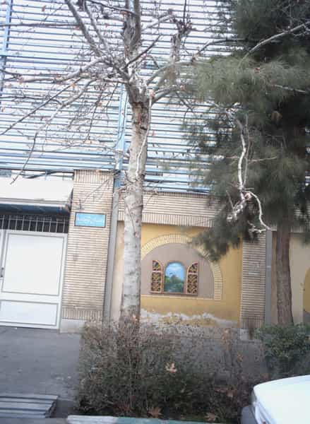 عکس دبستان تزکیه در دریا تهران