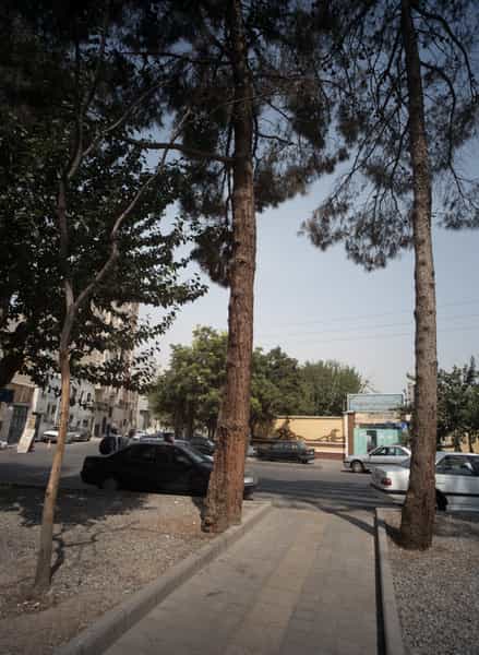 عکس دبیرستان دخترانه نمونه دولتی و هیئت امنایی عفاف در شهادت تهران